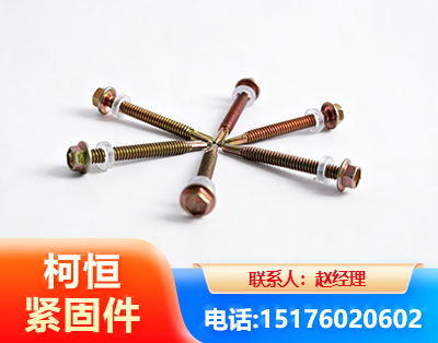 鹰潭六角钻尾丝
